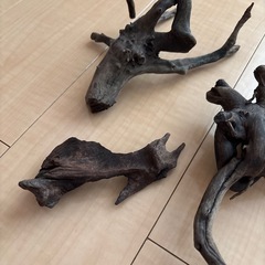 アクアリウム用流木の画像