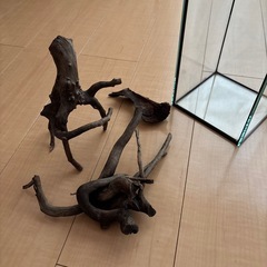 アクアリウム用流木