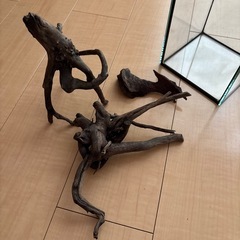アクアリウム用流木の画像
