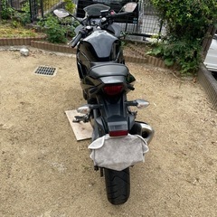 GSX250R 　の画像