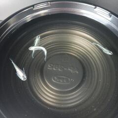 6/7めだか販売の画像