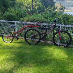 【値下げ】サイクルトレーラー　2人乗りの画像