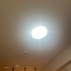 LED 照明