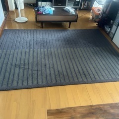 カーペット　ラグ　リビング用 170×230cm 厚め