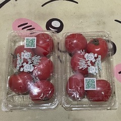トマト　2セット