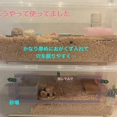 【大幅値下げ！】ハムスター（ジャンガリアン）用　自作2階建てケー...