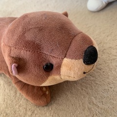 シーパラダイス　カワウソ　マッコウクジラ　ぬいぐるみ
の画像