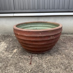 睡蓮鉢