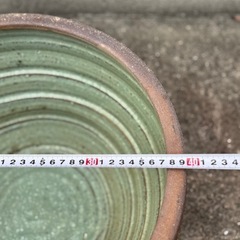 睡蓮鉢の画像