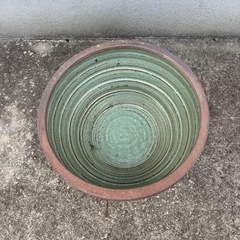 睡蓮鉢の画像
