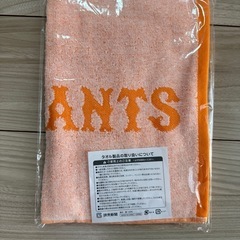 新品、未使用　ジャイアンツ　　タオル&ポーチの画像
