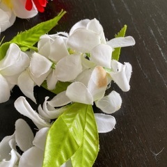 レイの画像
