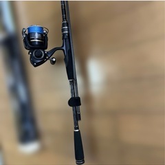 【取引者決定】アブガルシア(Abu Garcia) 釣竿セットの画像