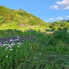 1名5万/月〜至高の田舎暮らし【山形県米沢市関根】光熱費込5万/月  一泊5〜6万の高級三ツ星旅館が近くにある場所。1ヶ月単位のシェアハウス方式でお得に暮らせる♪雄大な自然と美味しい食べ物。山々に囲まれ虫の鳴き声と共に眠れる贅沢な夜Zzz − 東京都
