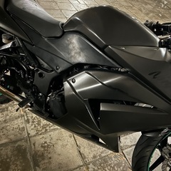 Ninja250