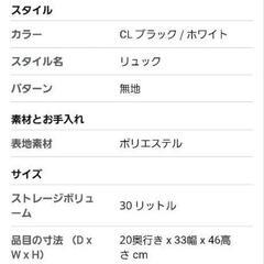 ベンデイビス　リュック　の画像