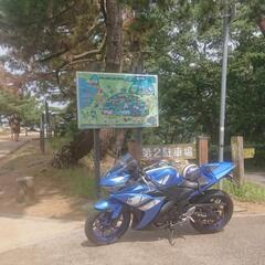 YAMAHA   ＹＺＲ  ２５０
