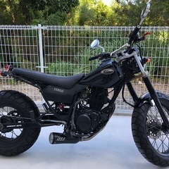 TW200 最終型 フロントディスクの画像