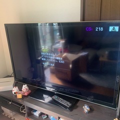 PANASONIC-THL50C60