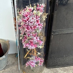 お花