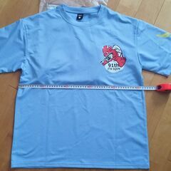 横田基地限定版　Tedman's U.S. AIR FORCE Tシャツ 水色の画像