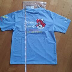 横田基地限定版　Tedman's U.S. AIR FORCE Tシャツ 水色の画像