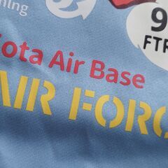 横田基地限定版　Tedman's U.S. AIR FORCE Tシャツ 水色の画像