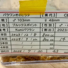 【お話中】の画像