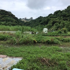 B区画募集❣️自分で食したい物を⭐️自分流に植えたい方へ❗️