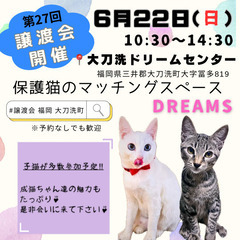 ６／２２(日)10:30〜【保護猫の譲渡会】大刀洗ドリーム…
