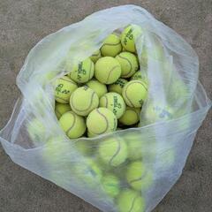 テニスボール　１カゴ分　中古