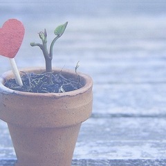 初めまして☺️ 仲良くなったらLINEしましょう☺️🍀