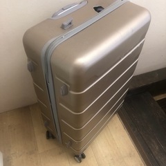 キャリーバック
