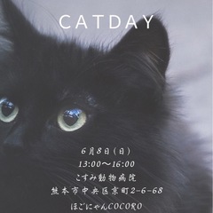 🐈‍⬛保護猫譲渡会のお知らせ🐈‍⬛