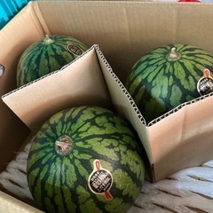 群馬県産🍉美味しい藪塚スイカ入荷しました☆