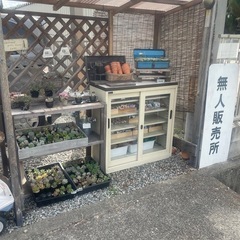 リニューアル‼️無人販売所の画像