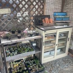 リニューアル‼️無人販売所の画像