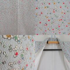 小紋 袷 縮緬 梅尽くし模様 薄水色ｘ多色 正絹 袷 広衿 仕立て上がり着物 身丈158cm 【キモノオフ野々市若松店】の画像