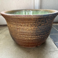 信楽焼 睡蓮鉢 メダカ鉢 