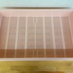 うどん　コンテナの画像