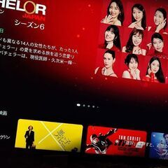 シャオミ Xiaomi 43型 4K チューナレスTV