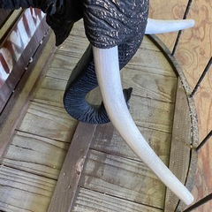 M0607701B 引き取り限定 看板 象 オブジェ エレファント ヘッドオブジェ ゾウさん ウォールディスプレイ 壁飾り 中古品 現状品の画像
