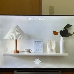 東芝　REGZA　55インチ 2020年製