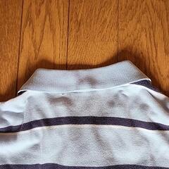 Polo　ポロシャツの画像