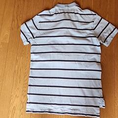 Polo　ポロシャツの画像