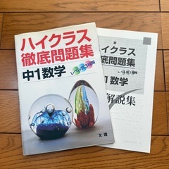 ハイクラス徹底問題集 中1数学 レベル別3段階/文理 (編者)