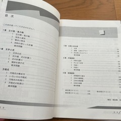 ハイクラス徹底問題集 中1数学 レベル別3段階/文理 (編者)の画像