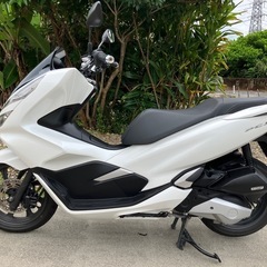 ホンダ PCX125 JF81