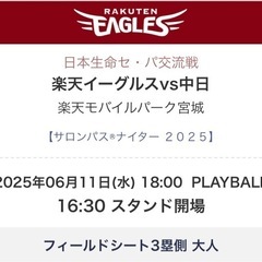 6月11日楽天vs中日戦チケット