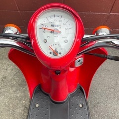 決定しました！原付バイク　スクーピーの画像